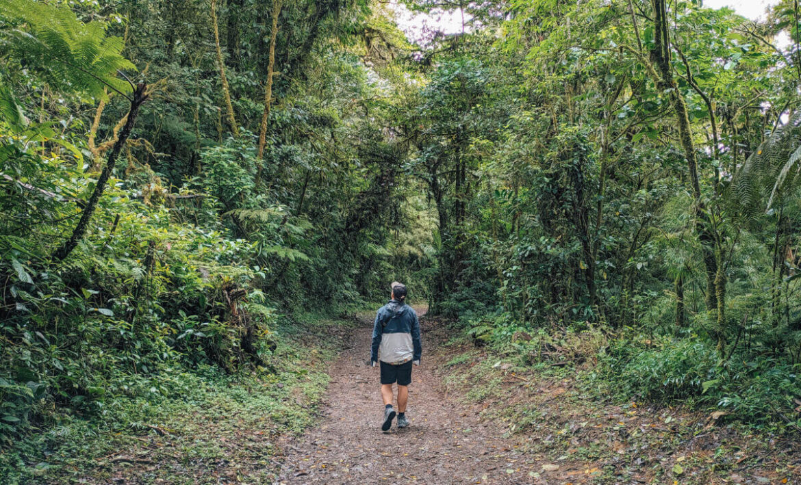 Monteverde Cloud Forest Reserve
